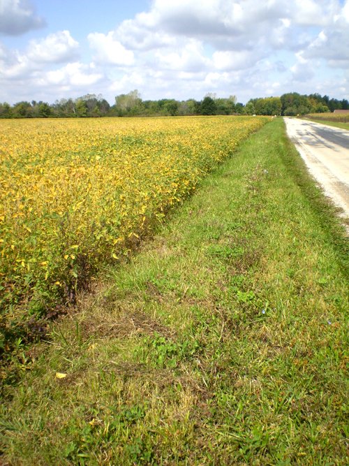 Property photo 14 - 75+/- Acres in 9 Tracts